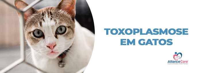Toxoplasmose em gatos